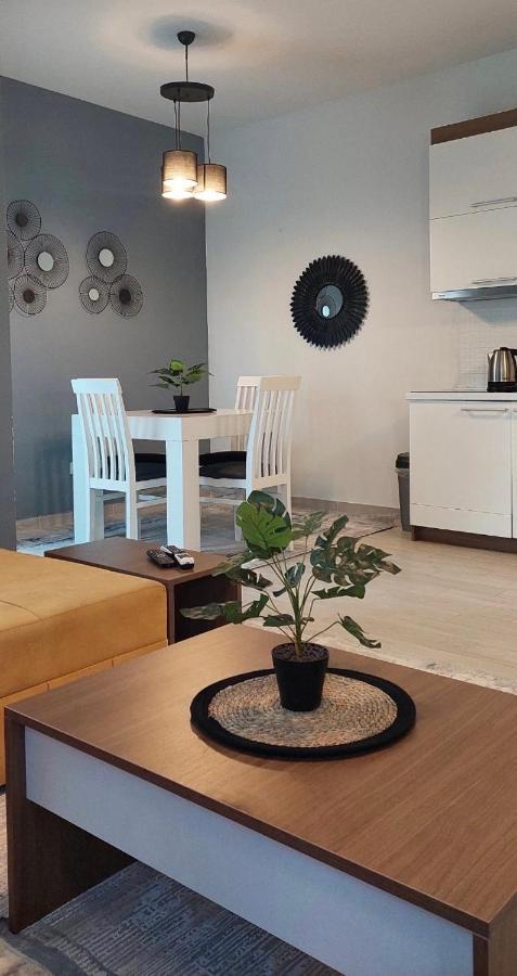 Long Beach Apartment Ulcinj Esterno foto
